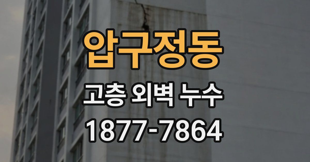 압구정동 고층 외벽 누수