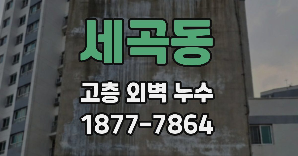 세곡동 고층 외벽 누수