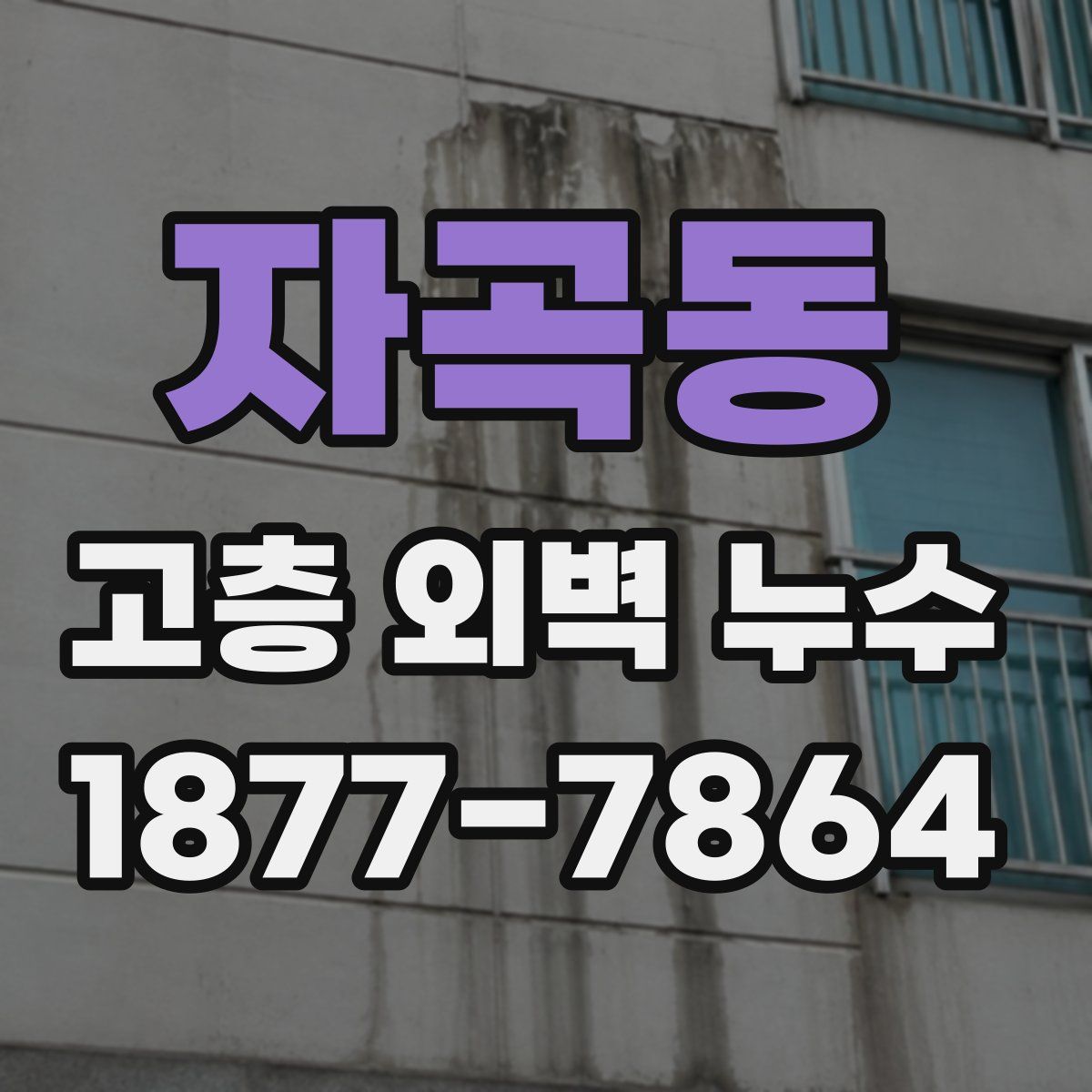 자곡동 고층 외벽 누수