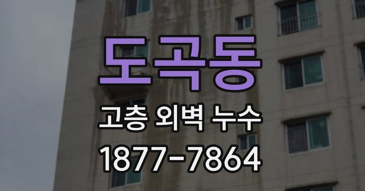 도곡동 고층 외벽 누수