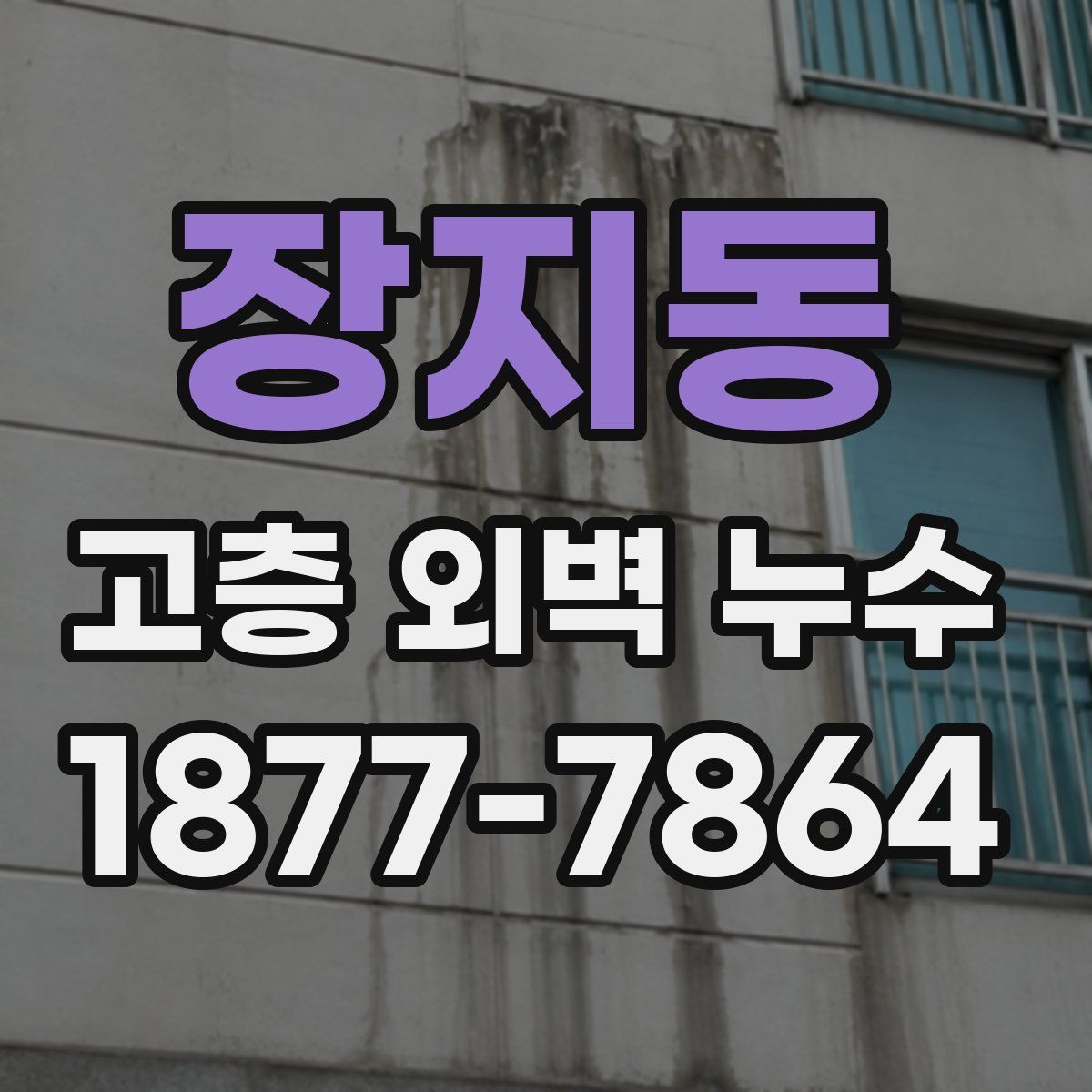 장지동 고층 외벽 누수