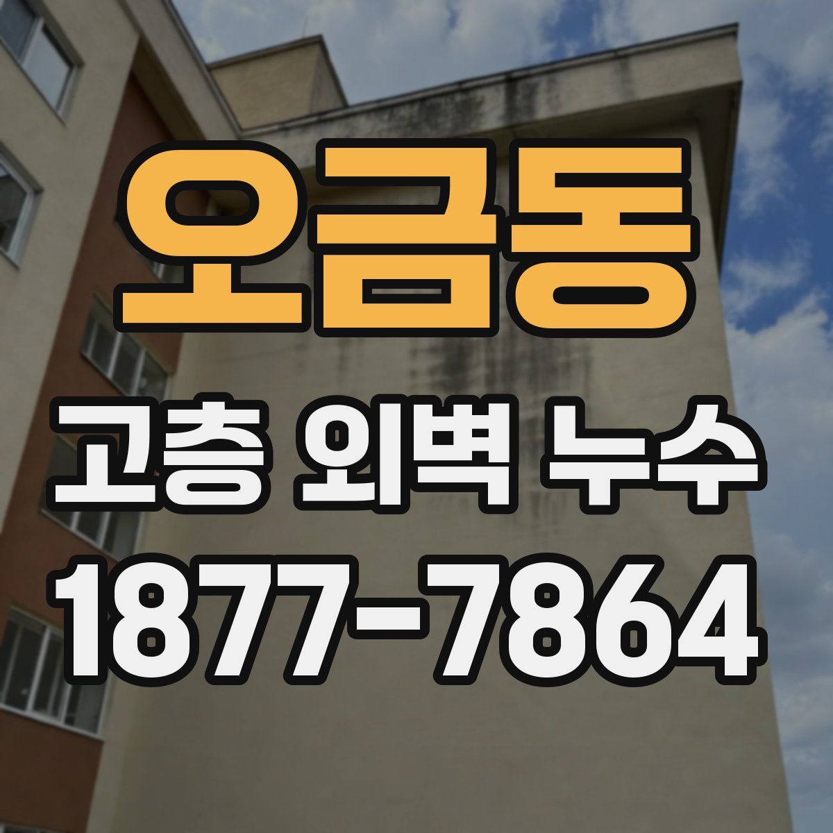 오금동 고층 외벽 누수