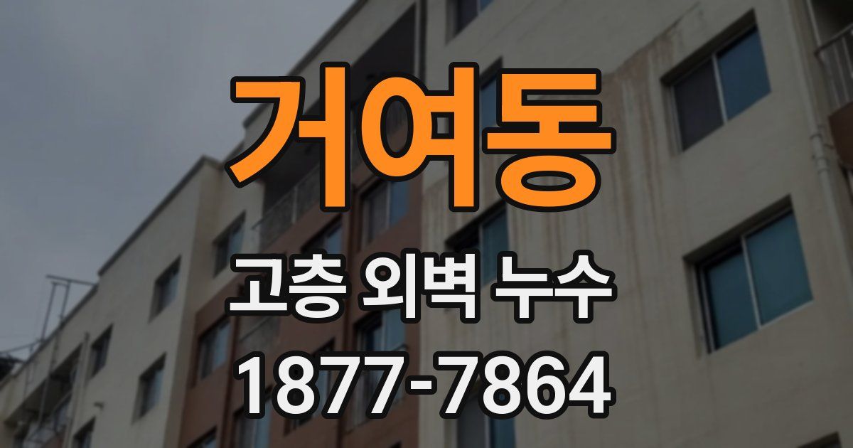 거여동 고층 외벽 누수
