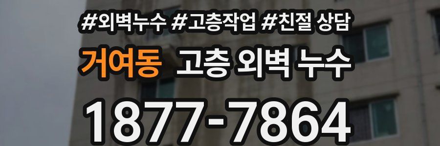 거여동 고층 외벽 누수