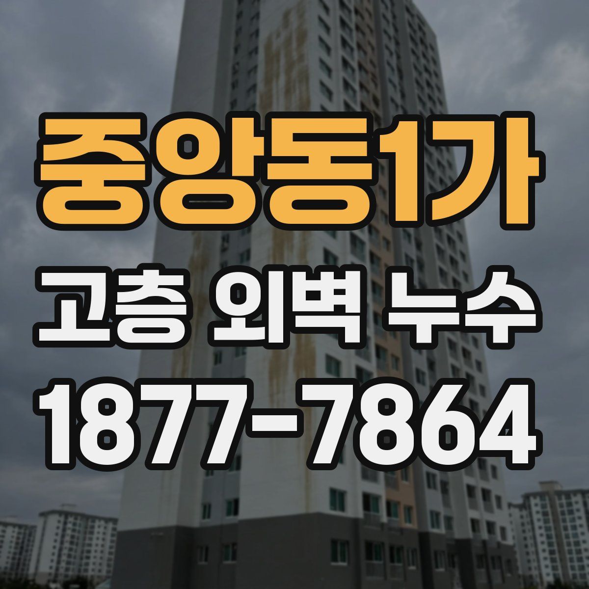 중앙동1가 고층 외벽 누수
