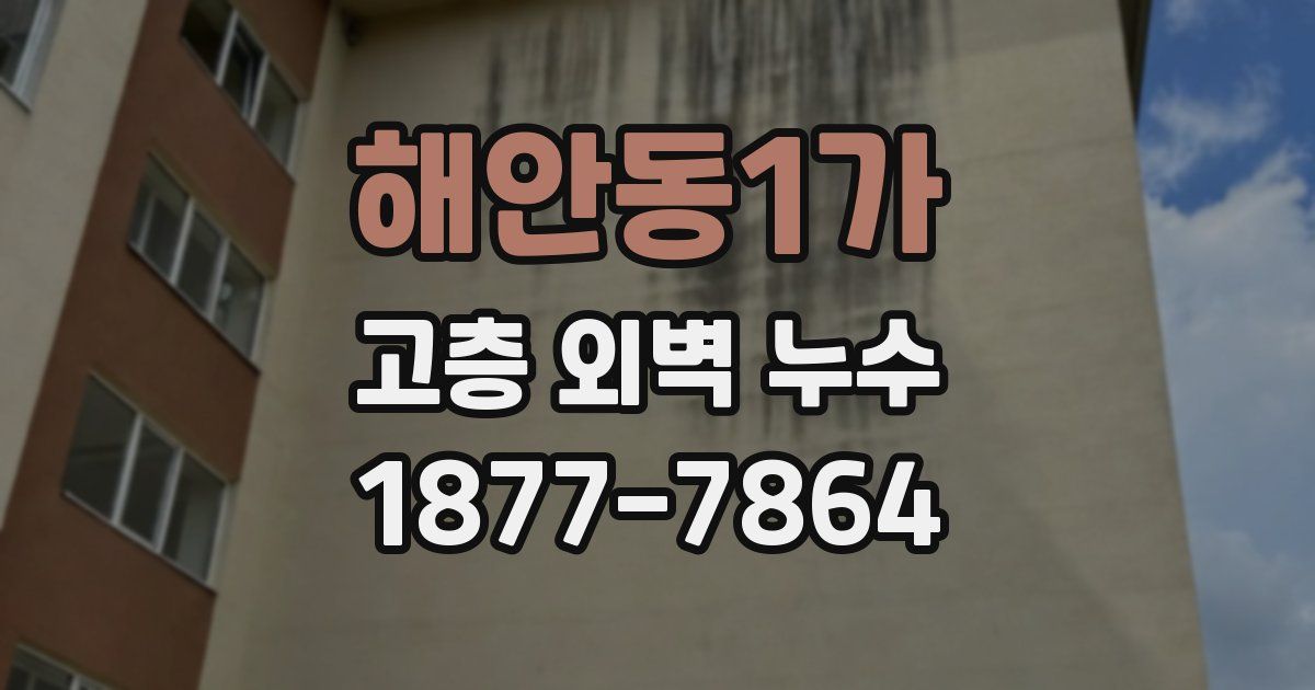 해안동1가 고층 외벽 누수