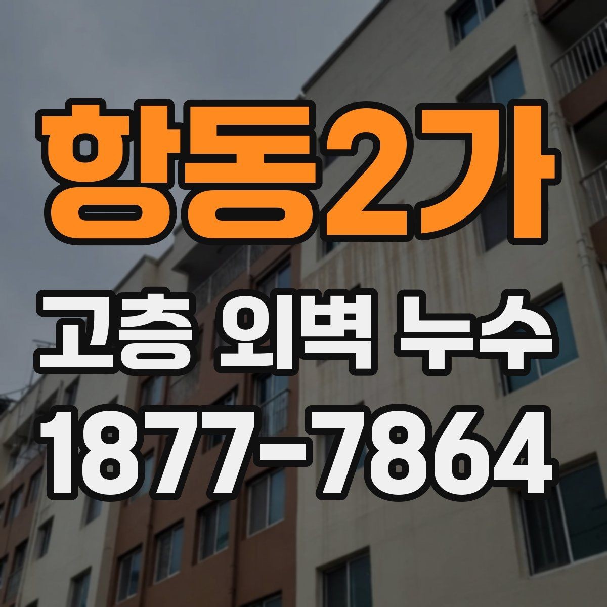 항동2가 고층 외벽 누수 보수 시 검토해야 할 공법