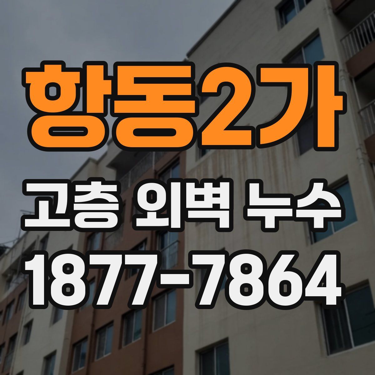 항동2가 고층 외벽 누수