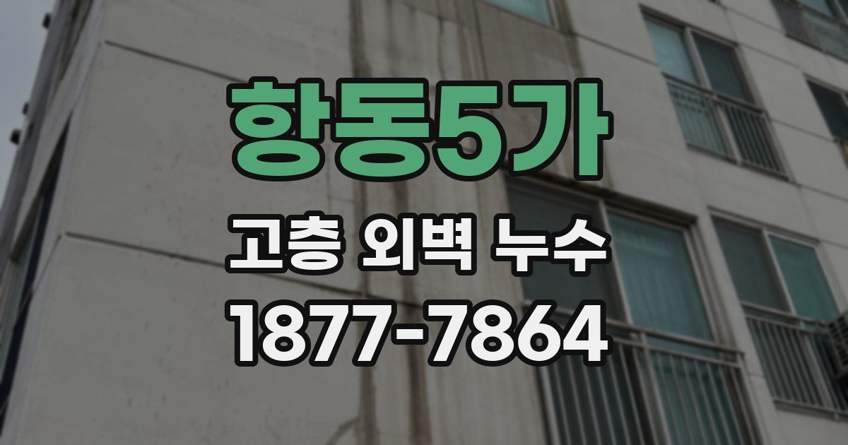 항동5가 고층 외벽 누수