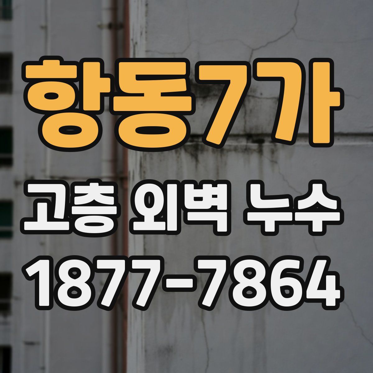 항동7가 고층 외벽 누수