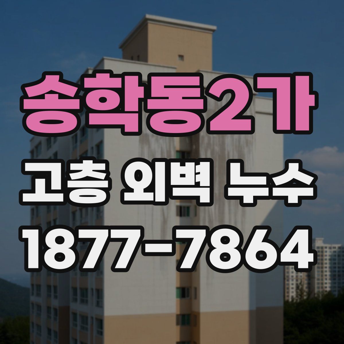 송학동2가 고층 외벽 누수