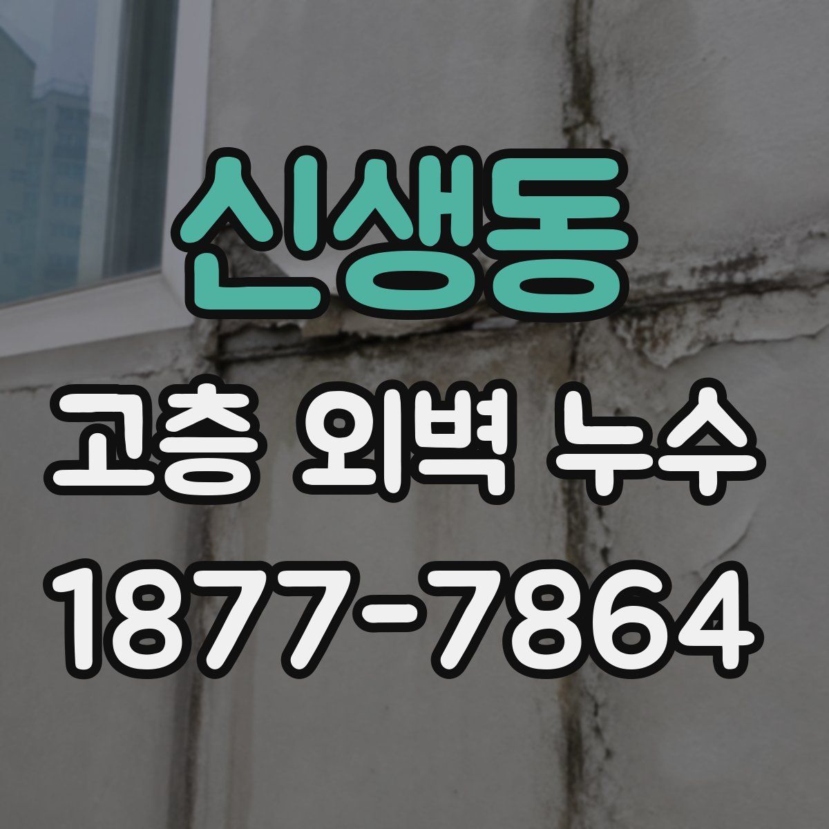 신생동 고층 외벽 누수