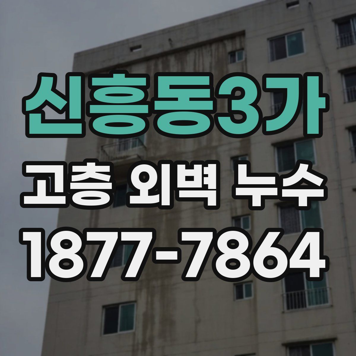 신흥동3가 고층 외벽 누수