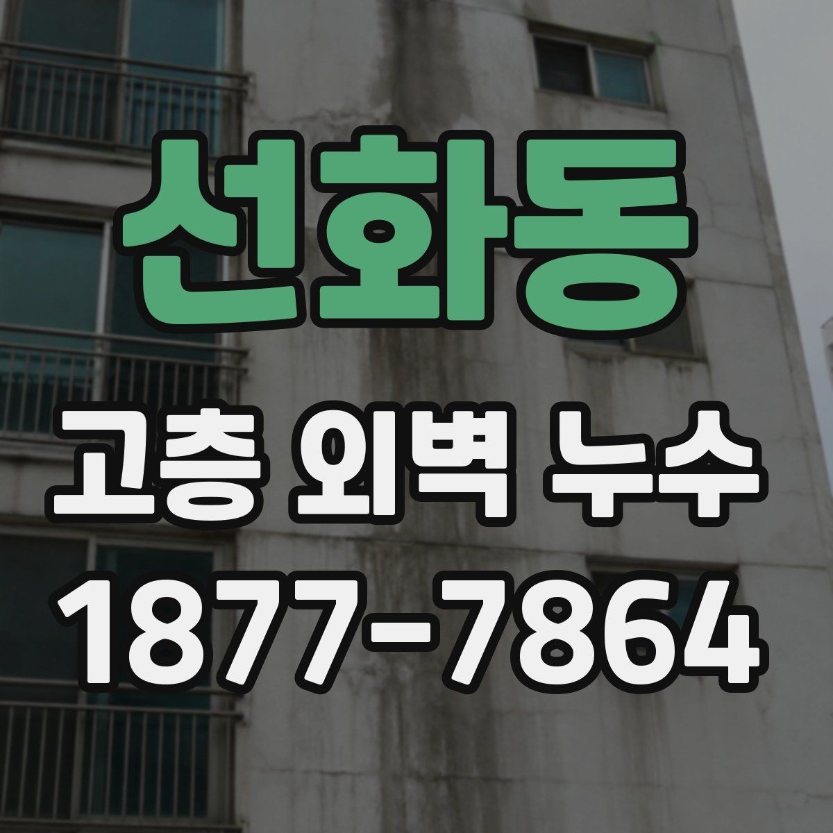 선화동 고층 외벽 누수 방수 공법 선택 기준