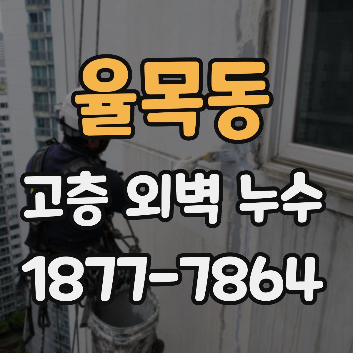 율목동 고층 외벽 누수