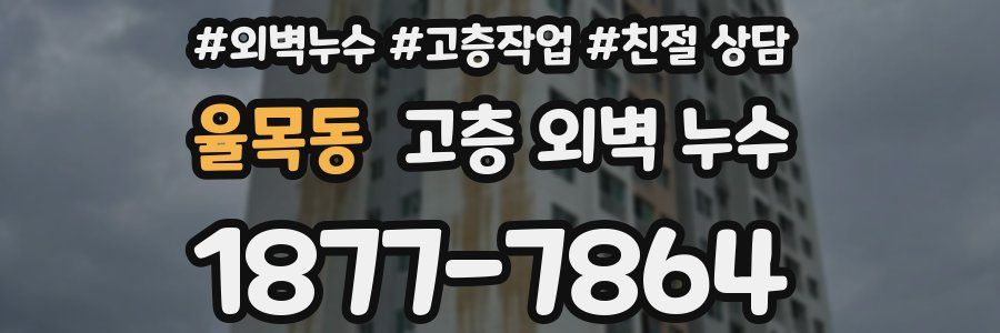 율목동 고층 외벽 누수