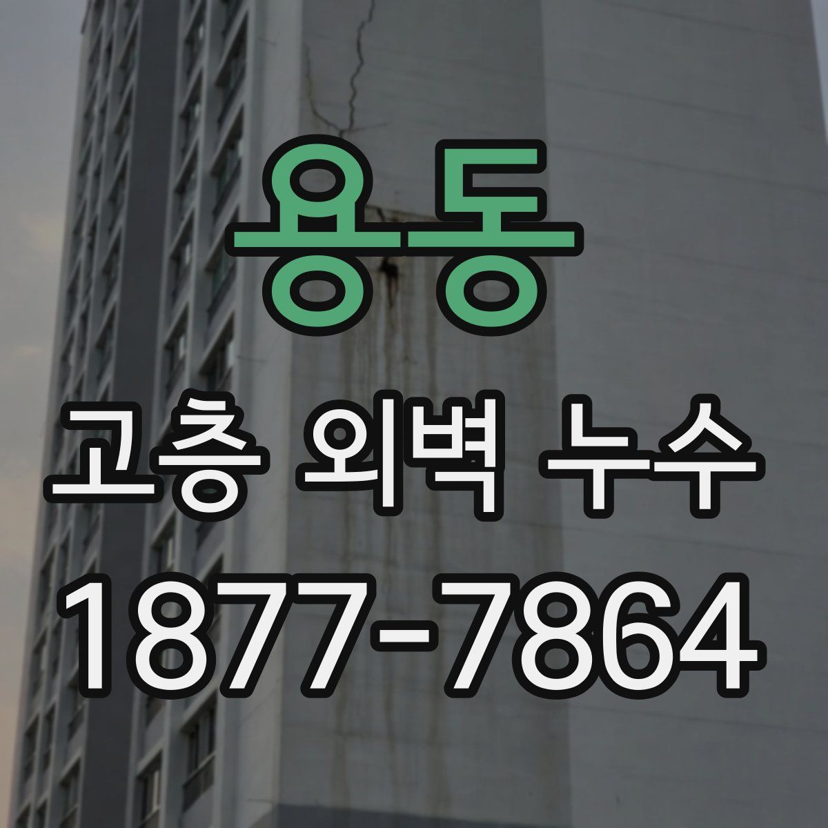 용동 고층 외벽 누수