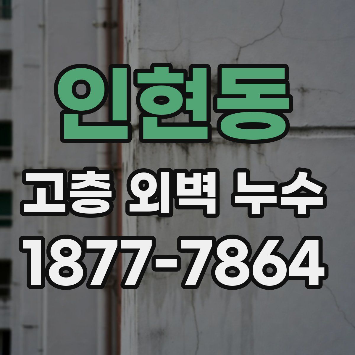 인현동 고층 외벽 누수