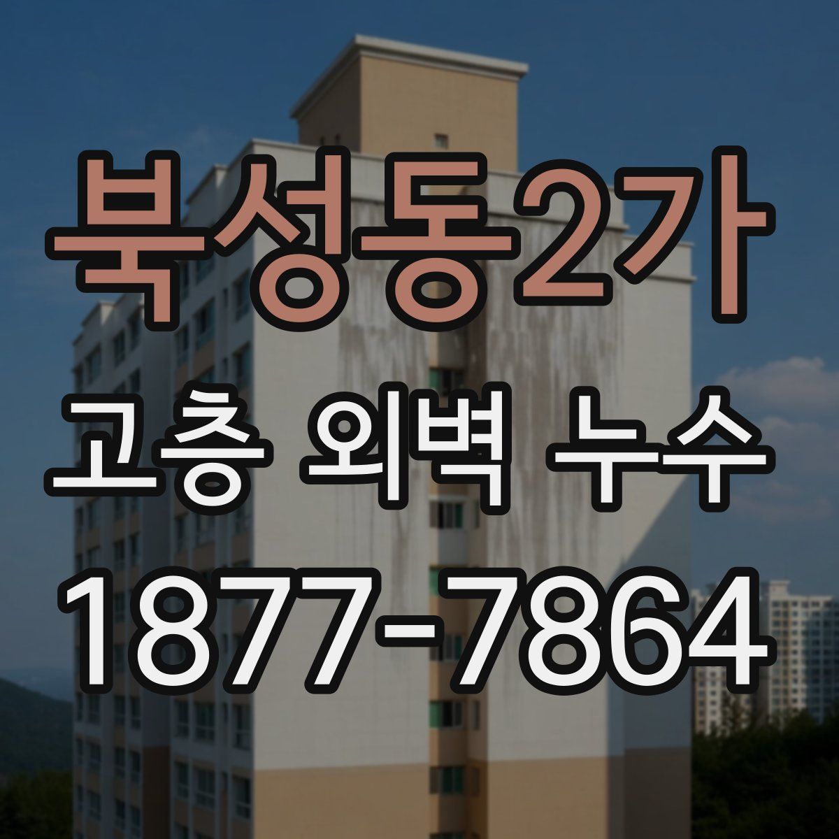 북성동2가 고층 외벽 누수