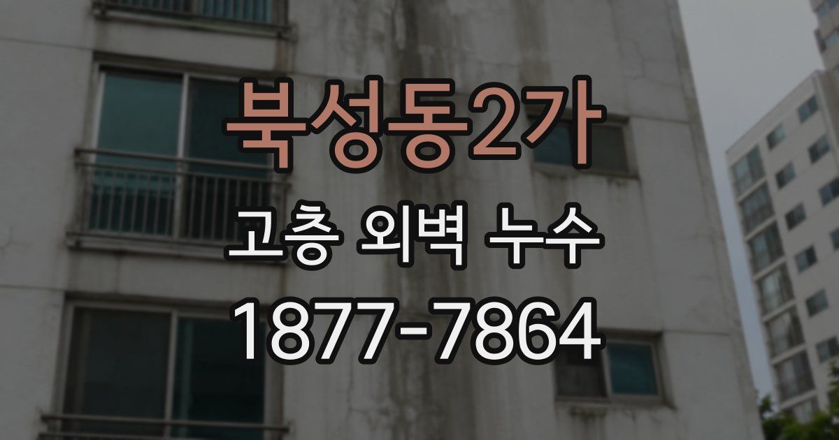북성동2가 고층 외벽 누수