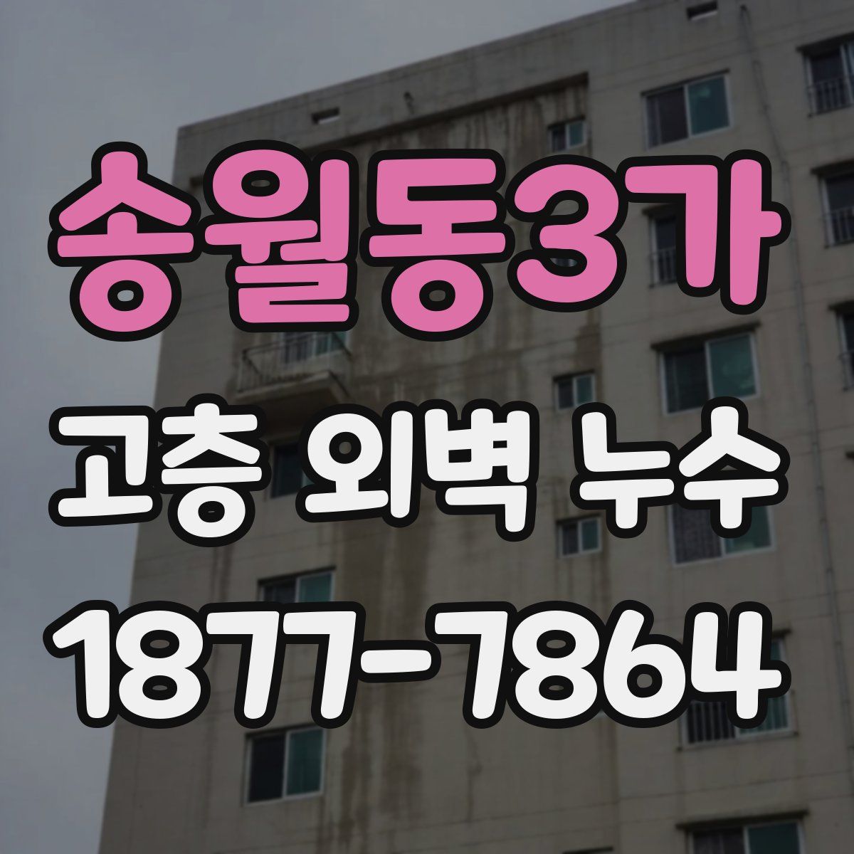 송월동3가 고층 외벽 누수