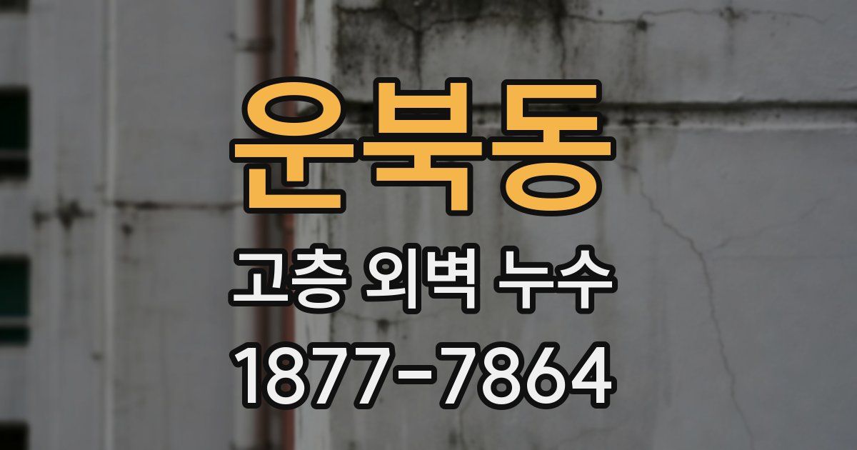 운북동 고층 외벽 누수