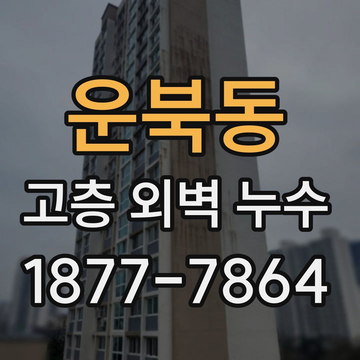 운북동 고층 외벽 누수