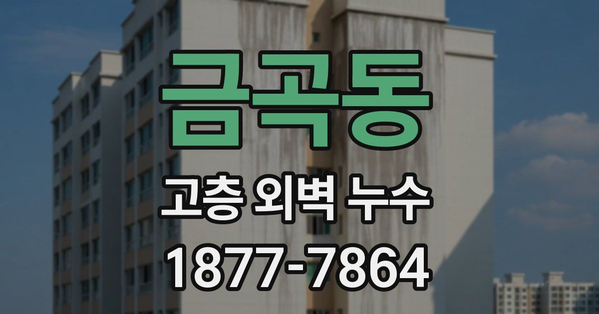 금곡동 고층 외벽 누수