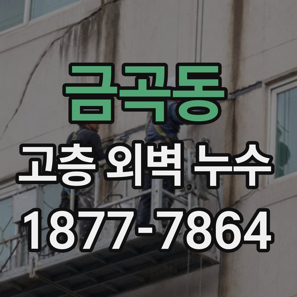 금곡동 고층 외벽 누수