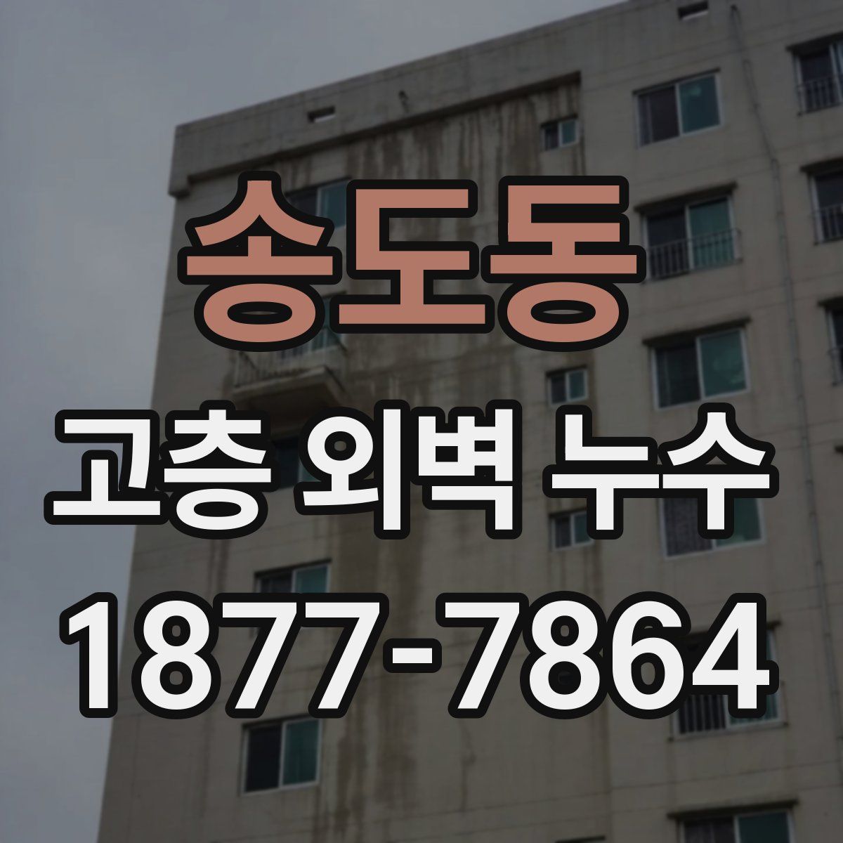 송도동 고층 외벽 누수