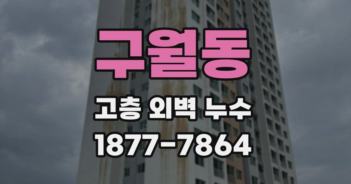 구월동 고층 외벽 누수