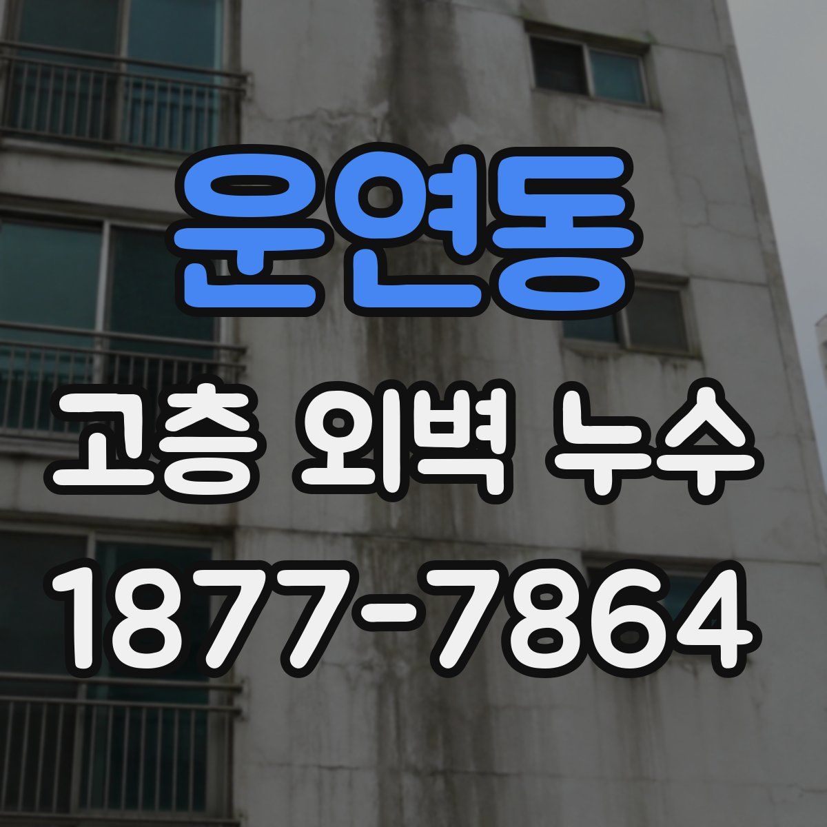 운연동 고층 외벽 누수
