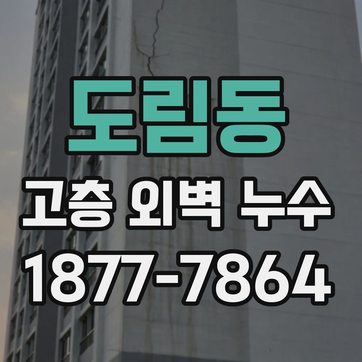 도림동 고층 외벽 누수