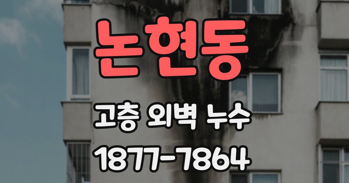 논현동 고층 외벽 누수