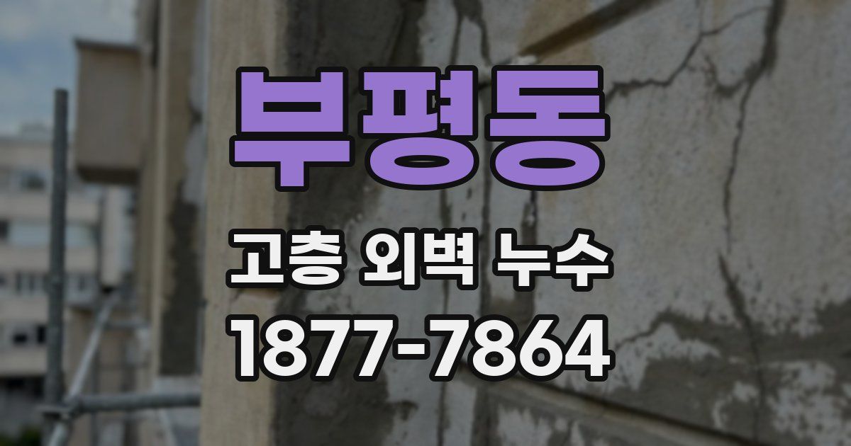 부평동 고층 외벽 누수