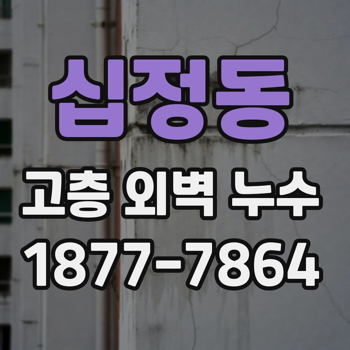 십정동 고층 외벽 누수