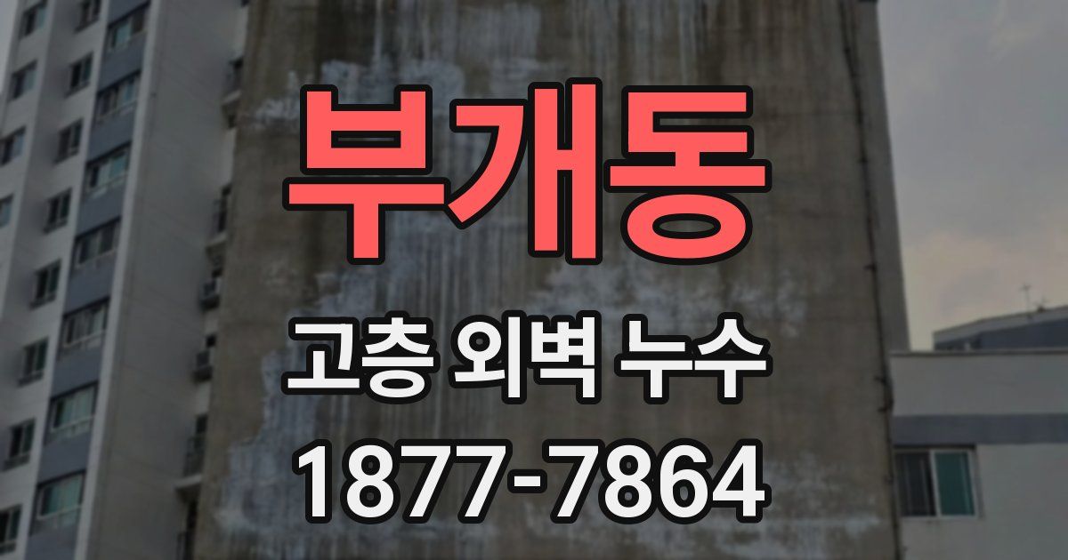 부개동 고층 외벽 누수