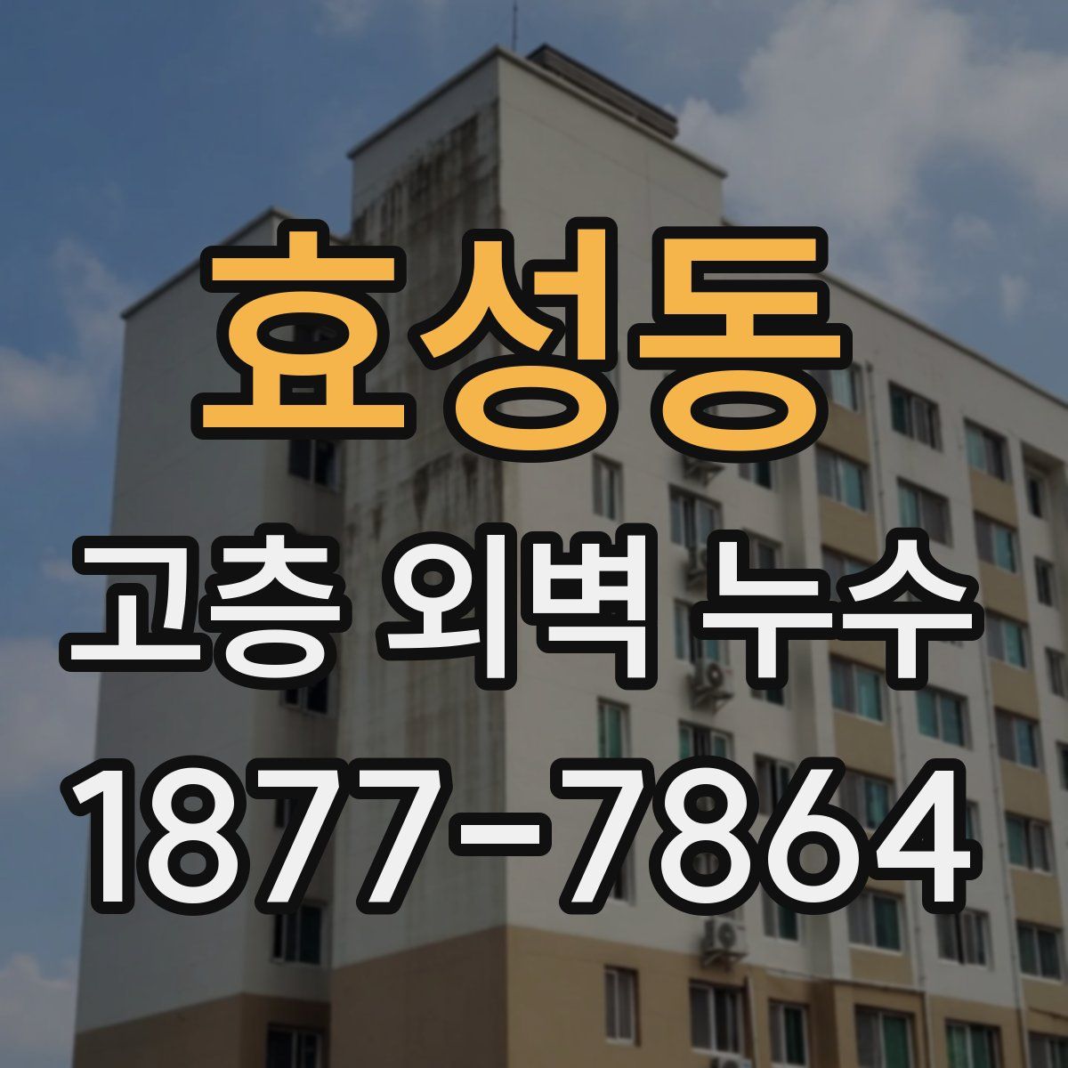 효성동 고층 외벽 누수