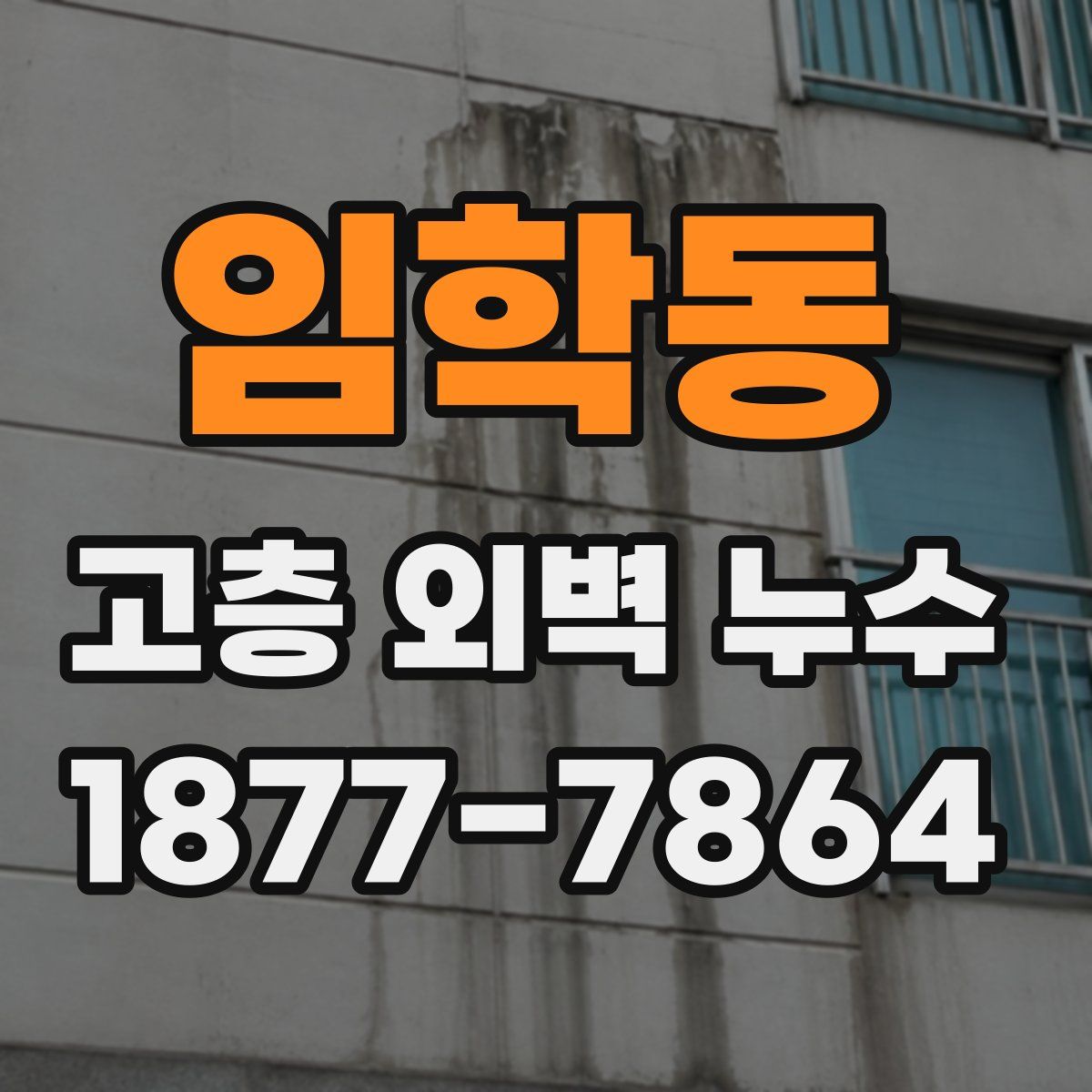 임학동 고층 외벽 누수