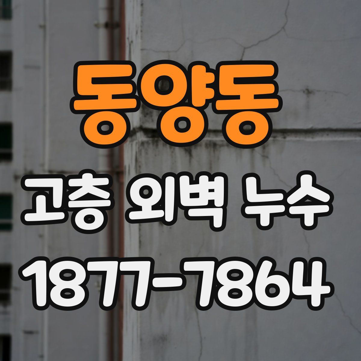 동양동 고층 외벽 누수