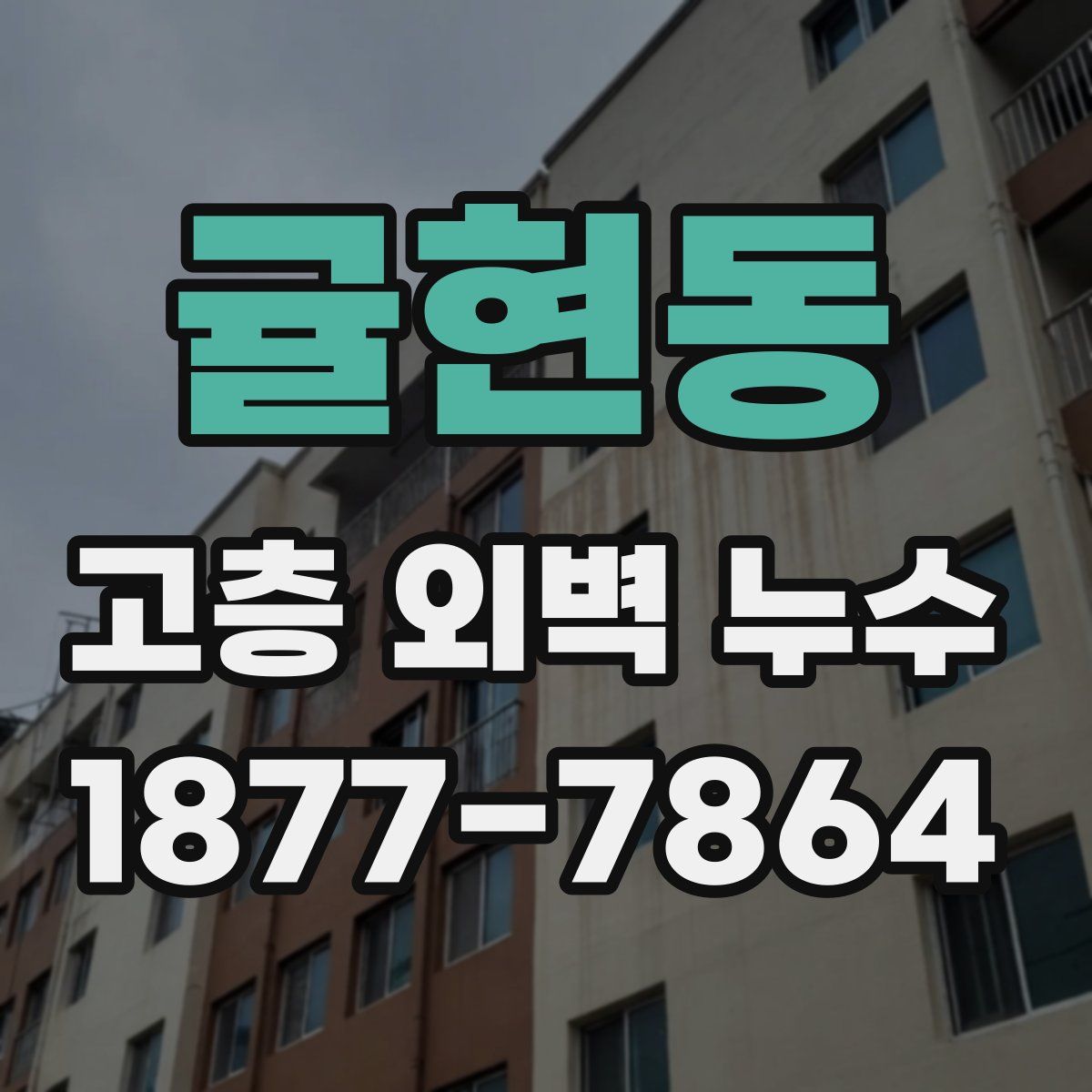 귤현동 고층 외벽 누수