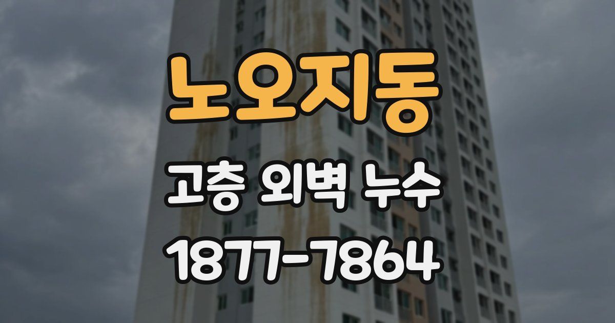 노오지동 고층 외벽 누수