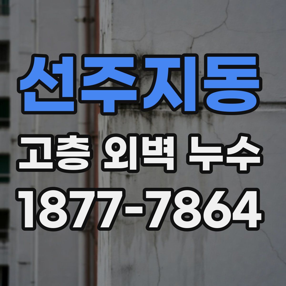 선주지동 고층 외벽 누수