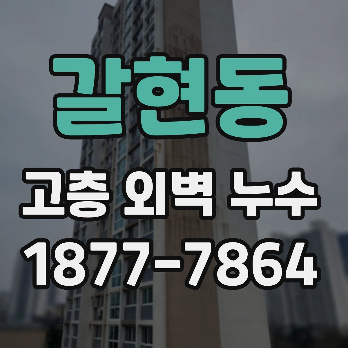 갈현동 고층 외벽 누수