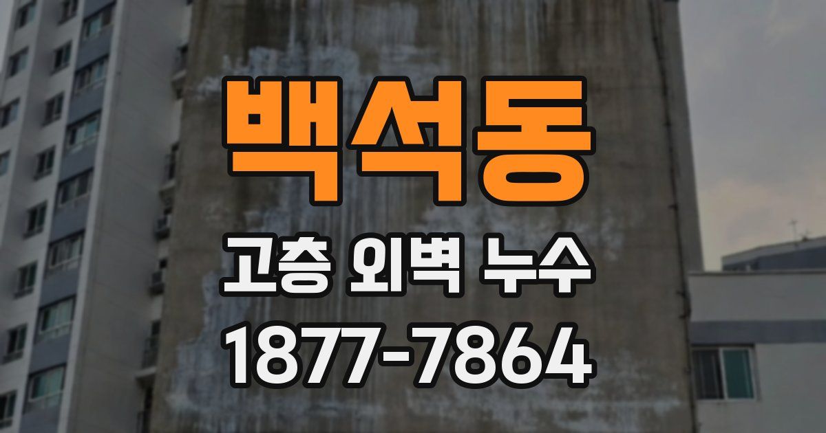 백석동 고층 외벽 누수