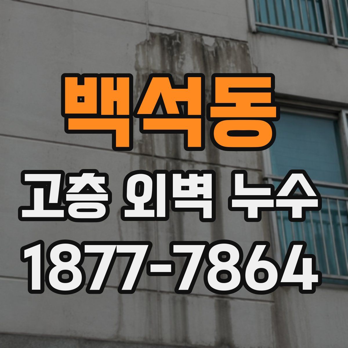 백석동 고층 외벽 누수