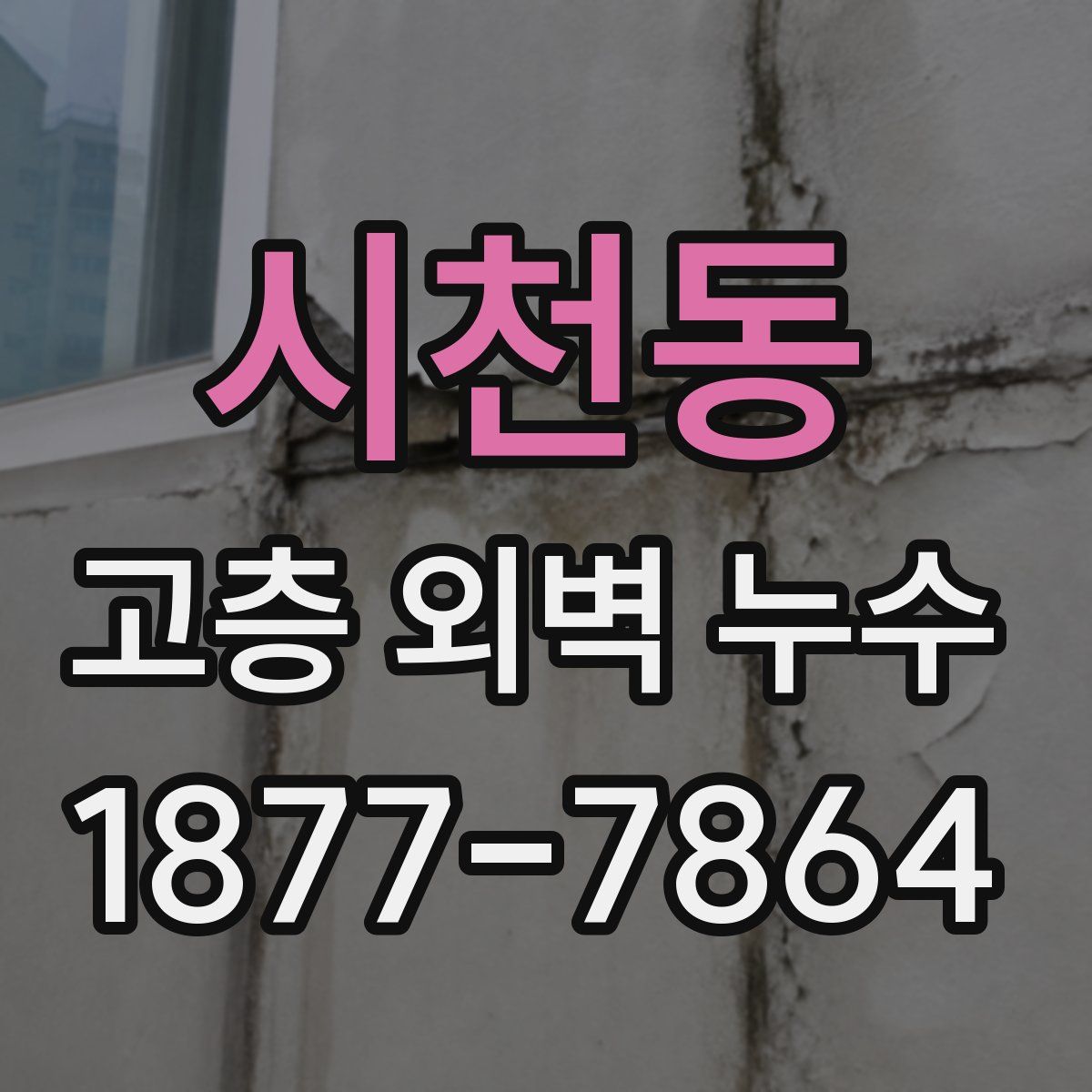 시천동 고층 외벽 누수