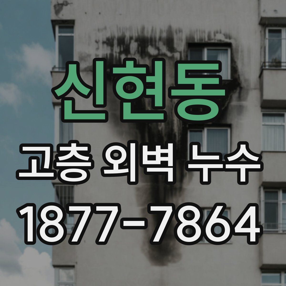 신현동 고층 외벽 누수