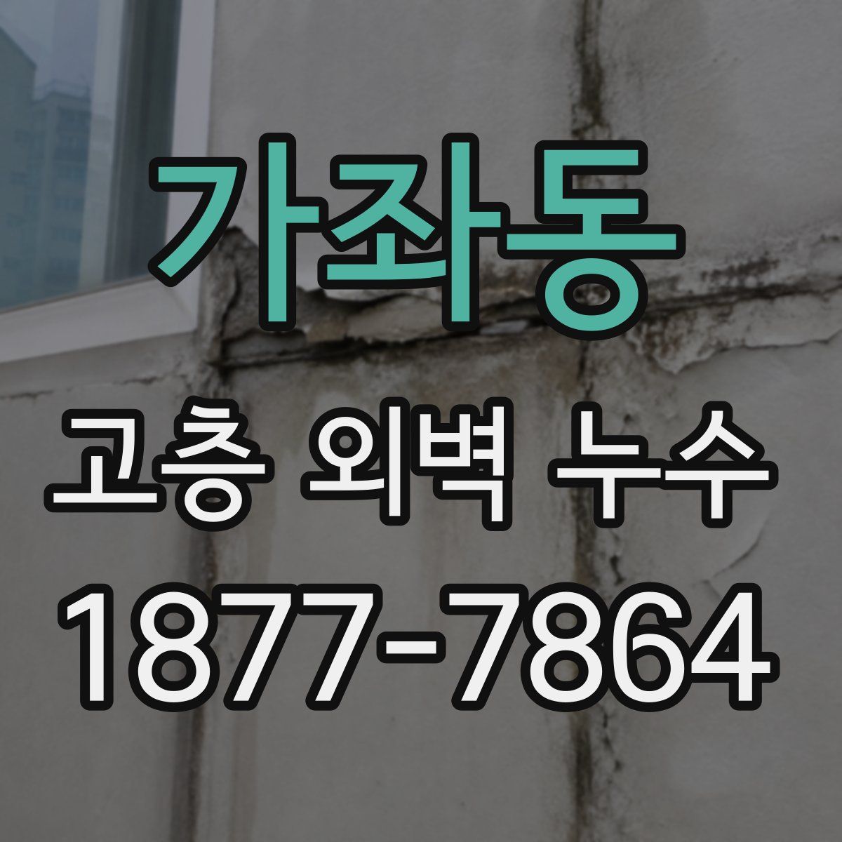 가좌동 고층 외벽 누수