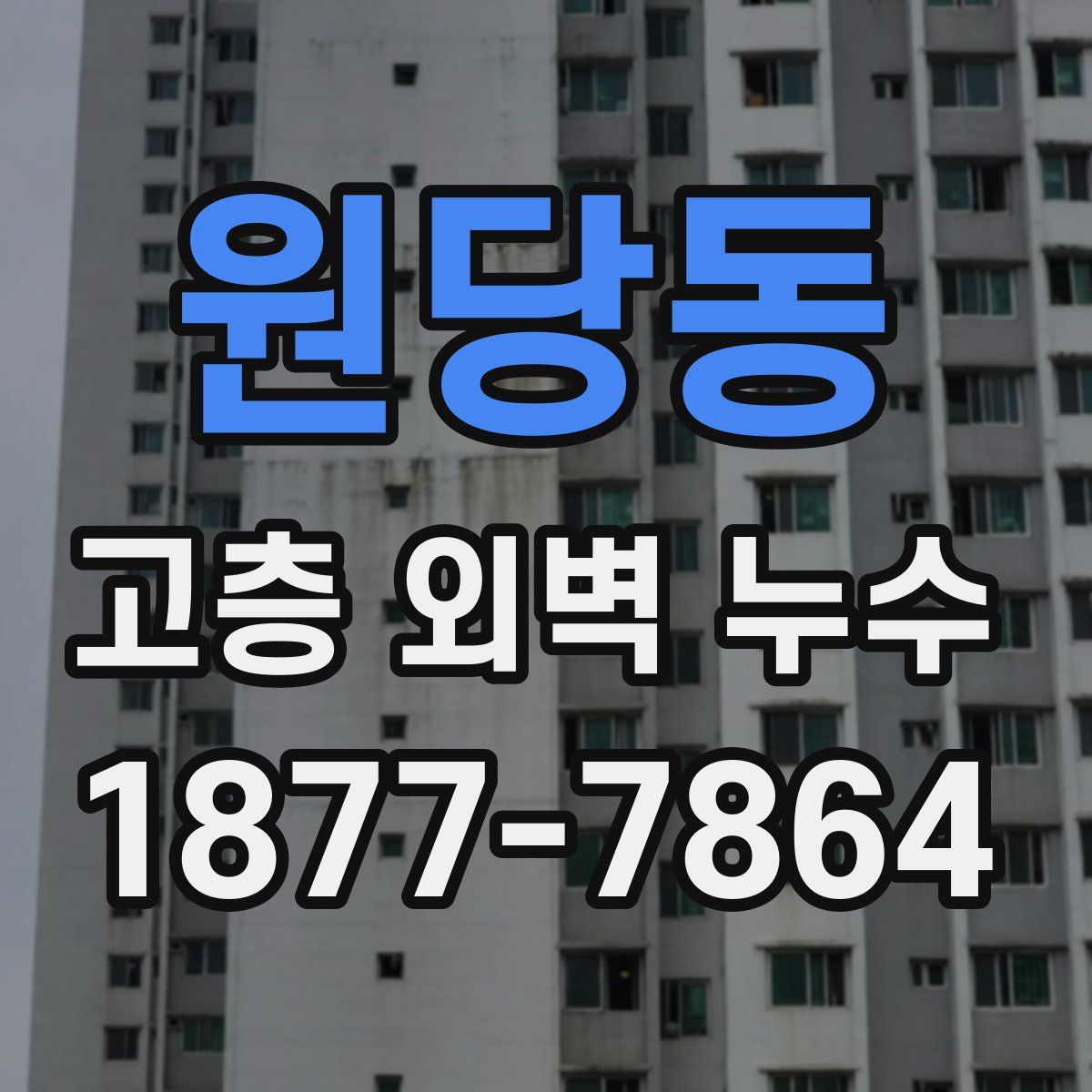 원당동 고층 외벽 누수